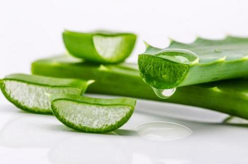 用芦荟怎样祛痘